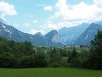 Comment la biodiversité disparaît