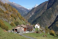 Cure de rajeunissement pour l’agriculture de montagne