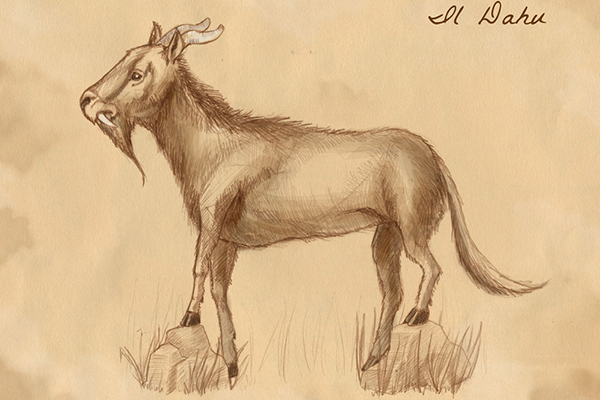 Des dahus observés dans le Nord de l’Italie