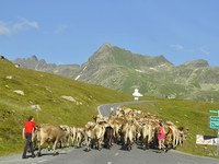 Des vacances d’été plus longues grâce au changement climatique