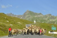 Des vacances d’été plus longues grâce au changement climatique