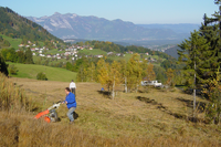 Diversité naturelle : un bien commun