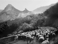 La jeunesse se penche sur la qualité de vie dans les Alpes