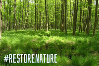 La loi sur la restauration de la nature de l’UE est-elle sur la corde raide ?