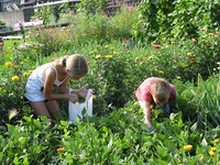 La protection de la nature au service du bien commun