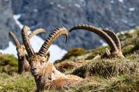 Le tourisme durable en pratique