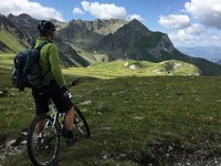 Présidence suisse de la Convention alpine