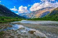 Promouvoir la restauration de la nature au-delà des frontières