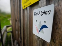 Via Alpina : 20 ans de randonnées transfrontalières