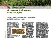 Sylviculture et réseaux écologiques dans les Alpes