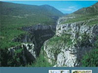 10 messages for 2010 — Mountain ecosystems