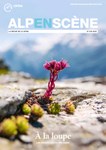 Alpenscène n° 108 - À la loupe