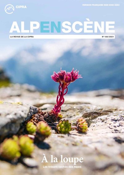 Alpenscène n° 108 - À la loupe