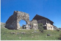 Qualità della vita e competitività nelle aree alpine rurali