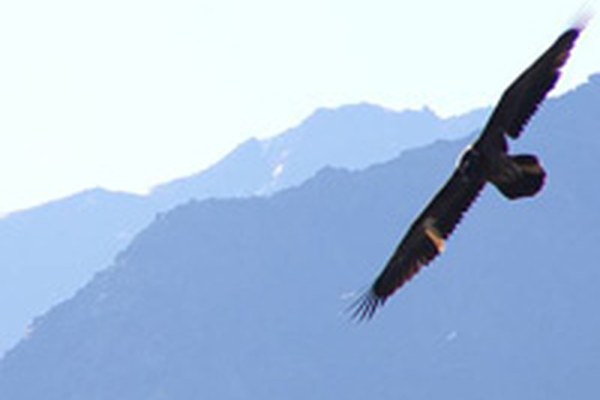 Scambio transalpino per la ricerca sulle aree protette