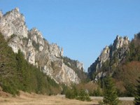 Seminari nell'ambito del progetto di cooperazione Alpi-Carpazi