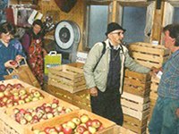 Europa: preoccupazioni per l'agricoltura biologic