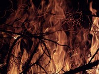 Incendi boschivi: centinaia di ettari di bosco andati in fumo