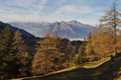 Giornate europee del bosco di montagna