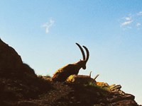 Le grandi aree protette nel trend turistico