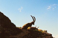 Le grandi aree protette nel trend turistico