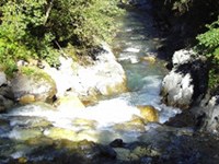 Un progetto idroelettrico minaccia il previsto Parco nazionale Locarnese