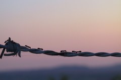 Un nome nuovo per una rivista consolidata