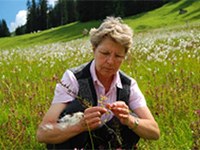 Più di 500 agricoltori e agricoltrici osservano le piante