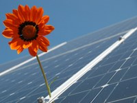 I comuni aiutano il clima - Interventi di mitigazione al banco di prova