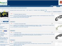 Le mappe e i dati di ECONNECT disponibili online