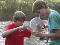 Move it! Arge Alp mobilita i giovani