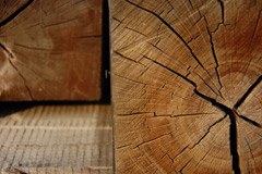 Per un'economia sostenibile