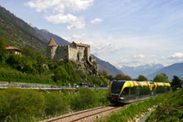 Avere il coraggio di osare – ma nel modo giusto!