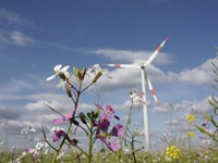 Premio per le energie rinnovabili per comuni