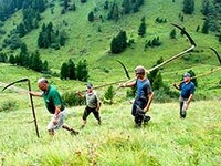 Nuove aree protette nelle Alpi