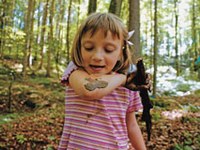 L’effetto catalizzatore