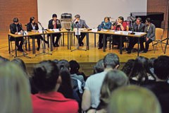 Politica alpina simulata