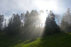 50 anni di parchi naturali in Austria