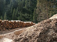 Premiati i progetti per la tutela del bosco di protezione