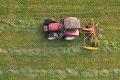 La riforma della politica agraria dell'UE non rende le Alpi più verdi