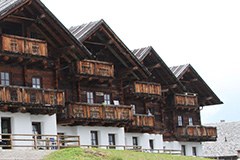 La politica alpina al centro dell'attenzione dei Verdi svizzeri