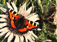 La Rete di comuni per la protezione della natura