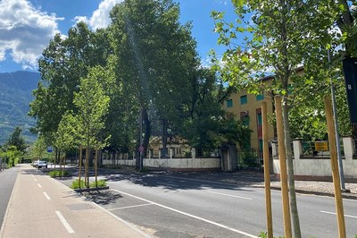 Cambiamento climatico: la strategia di Merano per una migliore qualità della vita