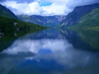 Corridoi verdi attraversano le frontiere