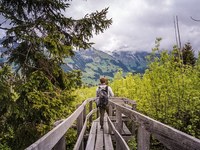 Eusalp senza i cantoni svizzeri?