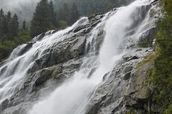 Il contributo di servizi offerto dalla natura
