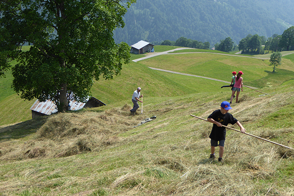 Istituzione di nuove aree protette: successi e insuccessi