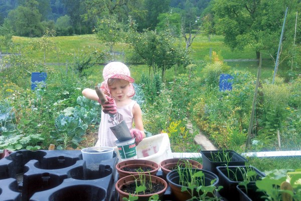 La mia visione delle Alpi