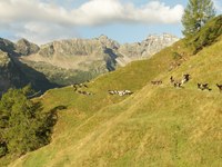 La stagione d’alpeggio è ora patrimonio culturale dell’UNESCO