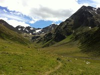 Le pernici bianche possono continuare a nidificare indisturbate